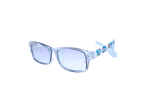 Chandan Optics - EVIAN - Eyeglasses - RECTANGLE - Image 2