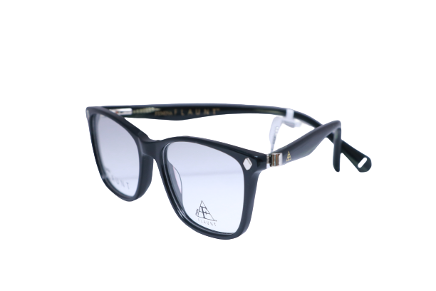 Chandan Optics - FEMINA FLAUNT - Eyeglasses - RECTANGLE